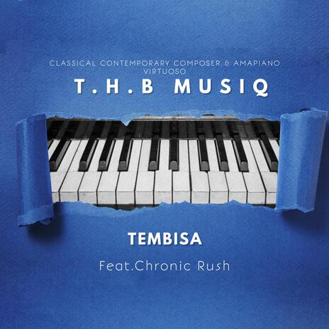 Tembisa ft. Chronic Rush | Boomplay Music