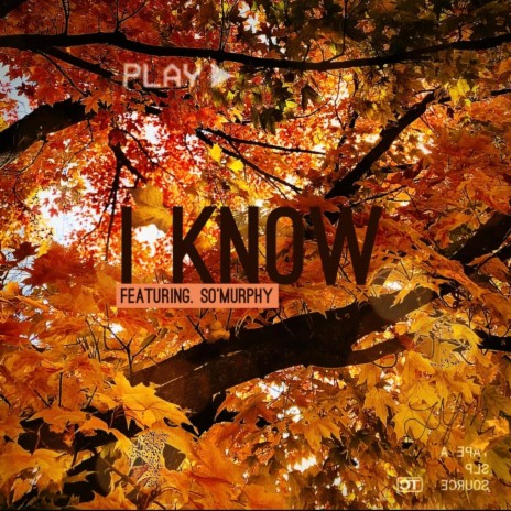 I Know ft. So Murphy | Boomplay Music