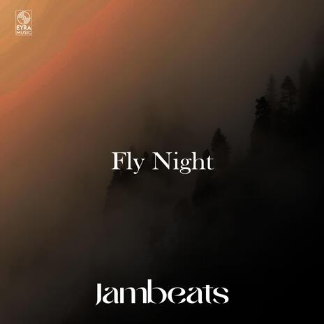 Fly Night | Boomplay Music