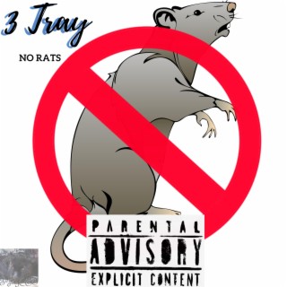 No Rats