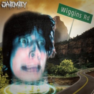 Wiggins Road