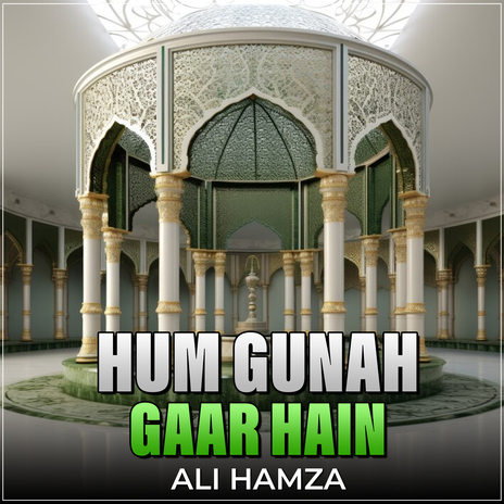 Hum Gunah Gaar Hain | Boomplay Music