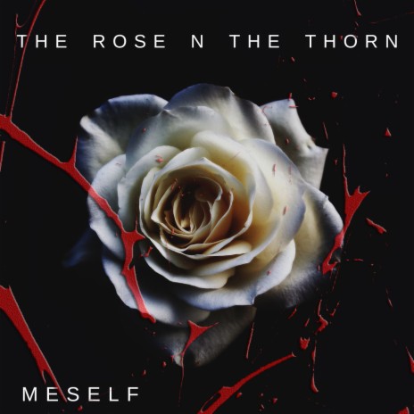 The Rose N the Thorn
