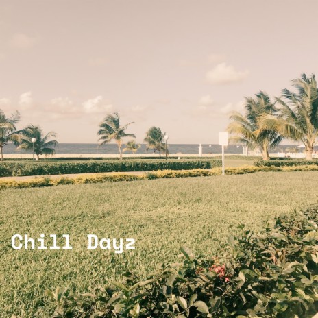 Chill Dayz | Boomplay Music