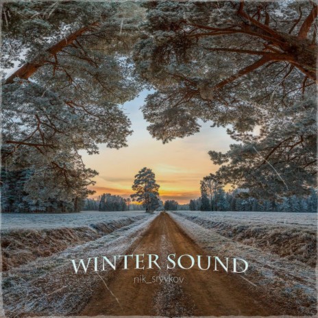 Winter Sound | Boomplay Music