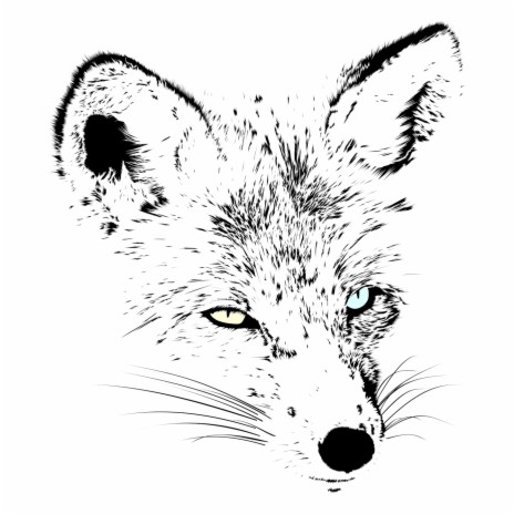 Winter Fox ft. 9-Tailed Fox | Boomplay Music