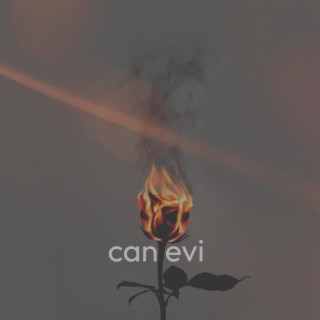 Can Evi