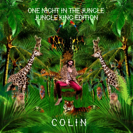One Night In The Jungle (Radio Edit) | Boomplay Music