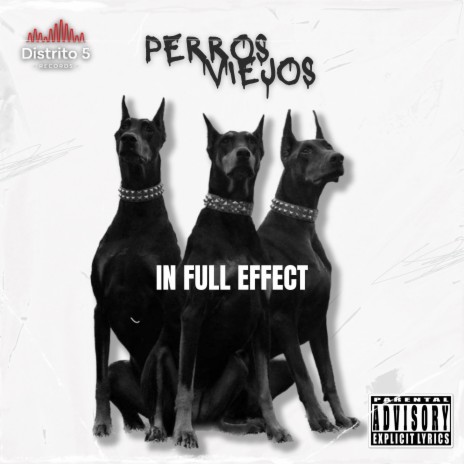Perros Viejos ft. Dry Rodriguez | Boomplay Music