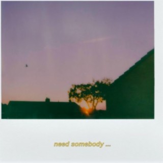 need somebody ...