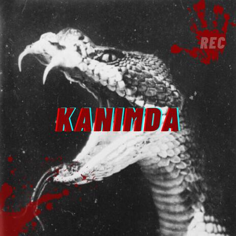 KANIMDA | Boomplay Music