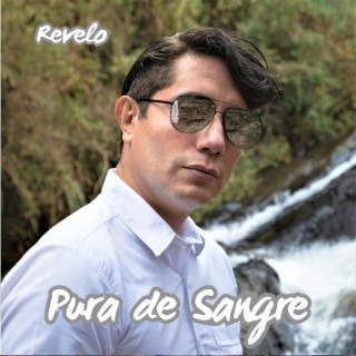 Pura de Sangre