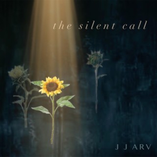 The Silent Call ft. Farouk Jr. lyrics | Boomplay Music