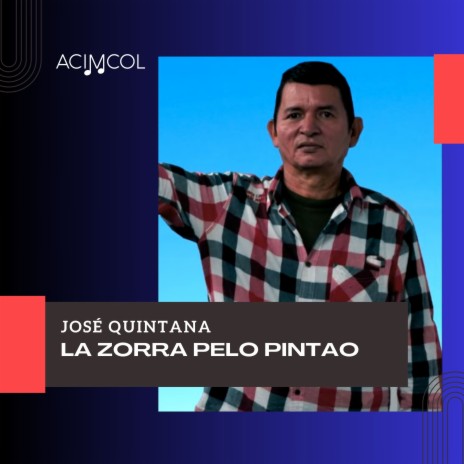 La Zorra Pelo Pintao | Boomplay Music