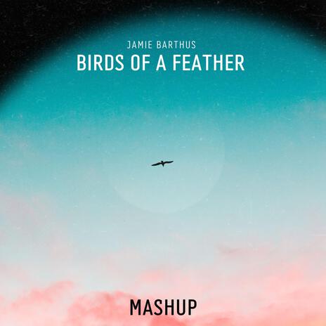 Birds of a Mashup | Boomplay Music