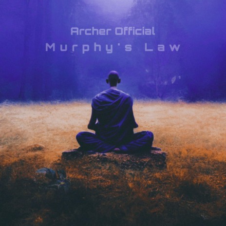 Murphy's Law