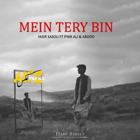 Mein Tery Bin ft. Pyar Ali & Abood B Yasir Sasoli | Boomplay Music