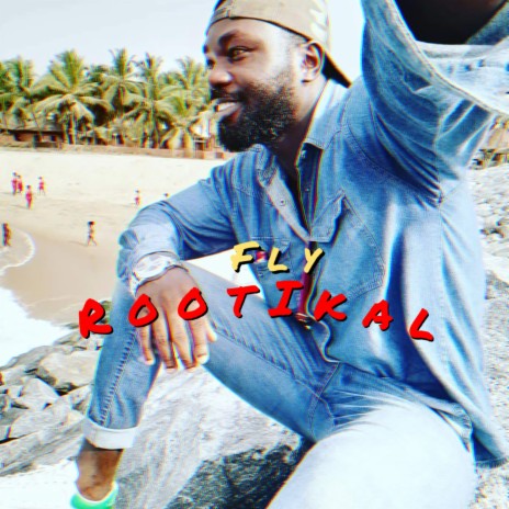 Fly | Boomplay Music