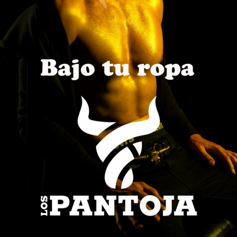 Bajo tu ropa | Boomplay Music