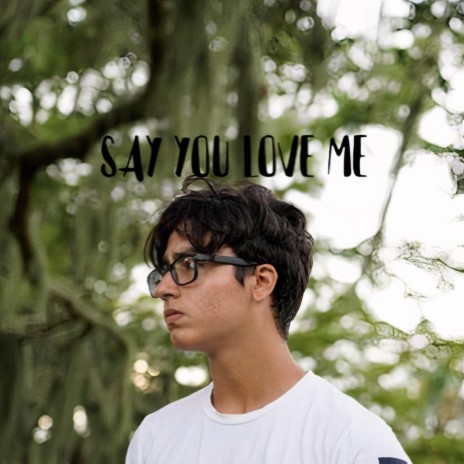 Say You Love Me | Boomplay Music