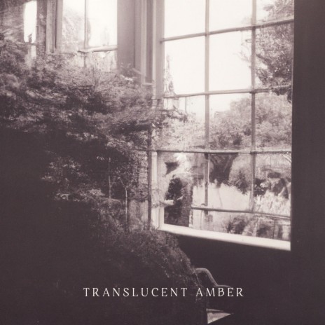 Translucent Amber