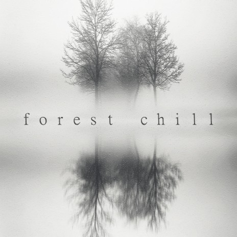 Forest Chill Out | Boomplay Music