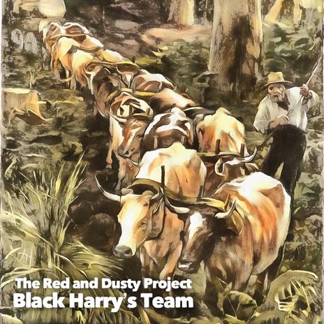 Black Harry's Team