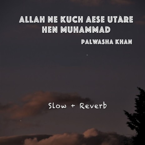 Allah Ne Kuch Aese Utare Hen Muhammad | Boomplay Music