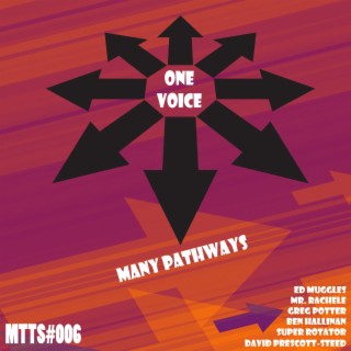 One Voice, Many Pathways