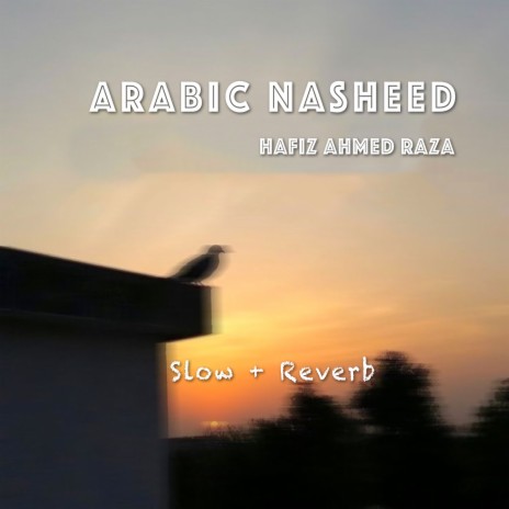 Arabic Nasheed