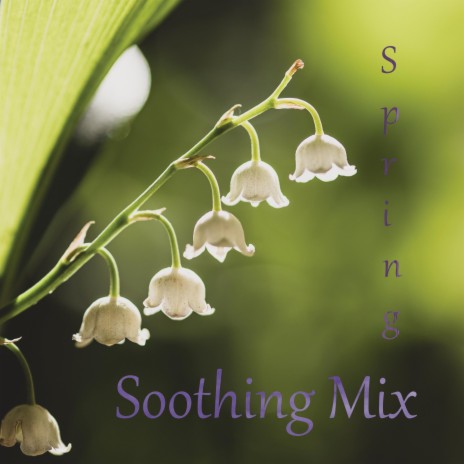 Spring (Soothing Mix) | Boomplay Music
