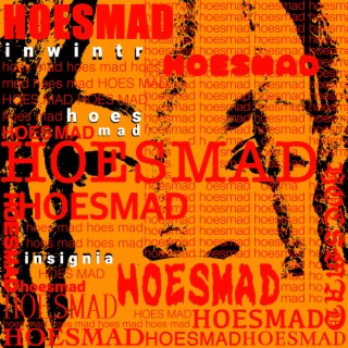Hoes Mad ft. Insignia 2020 lyrics | Boomplay Music