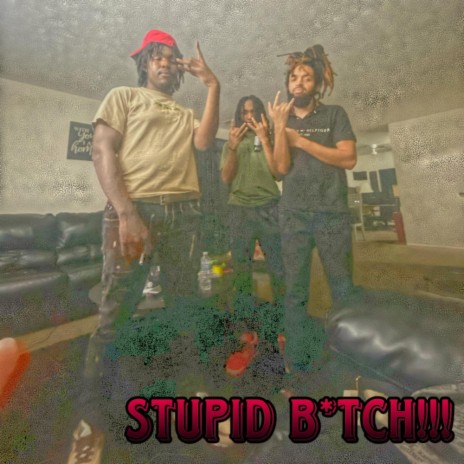 STUPID BITCH!!! ft. BANDBOSS & LUHMURDAH JAY