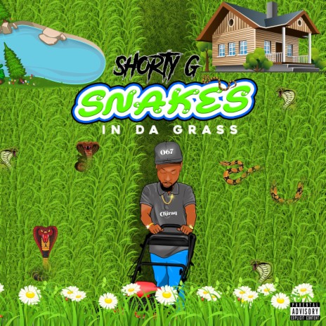 Snakes In Da Grass | Boomplay Music