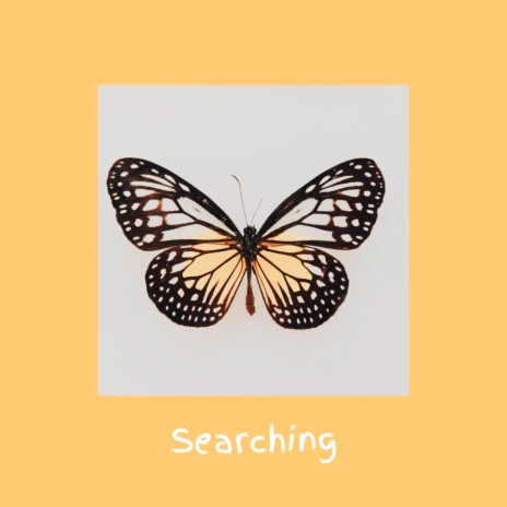 Searching | Boomplay Music