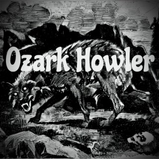 Ozark Howler lyrics | Boomplay Music
