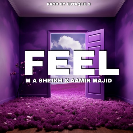 FEEL ft. Aamir Majid | Boomplay Music