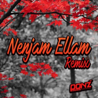 Dj DONZ - Nenjam Ellam Mix (Radio Edit)