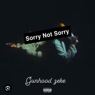 Sorry Not Sorry Veeze remix