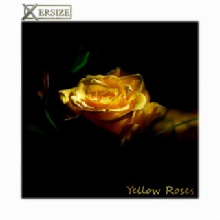 Yellow Roses