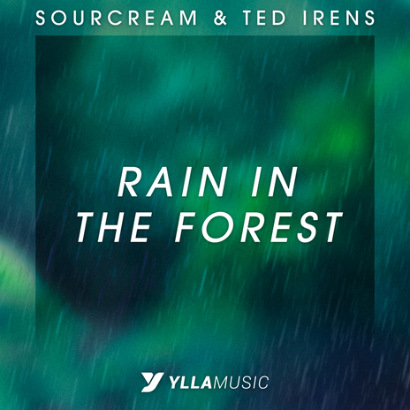 Rain In The Forest (Radio Edit) ft. Ted Irens | Boomplay Music