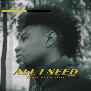 all i need (Remix)