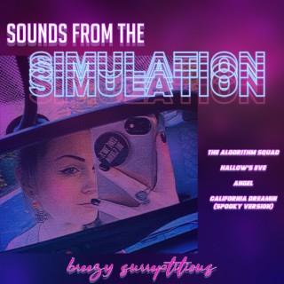 sounds from the simulation