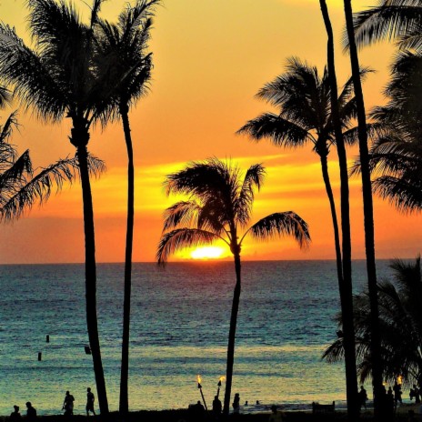 Perfect Vacations in Hawaii