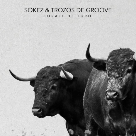 Coraje de Toro ft. Trozos de Groove | Boomplay Music