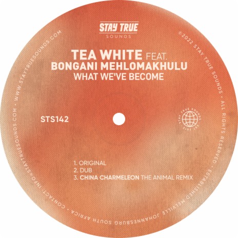 What We've Become (China Charmeleon the Animal Remix) ft. Bongani Mehlomakhulu | Boomplay Music