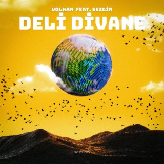 Volkan & Sezgin (Deli Divane)