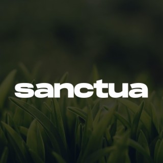 Sanctuary (Melodic Drill Type Beat)