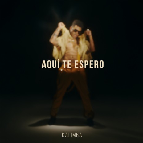 Aquí te espero | Boomplay Music