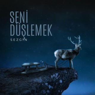 Sezgin Duman - Seni Düşlemek